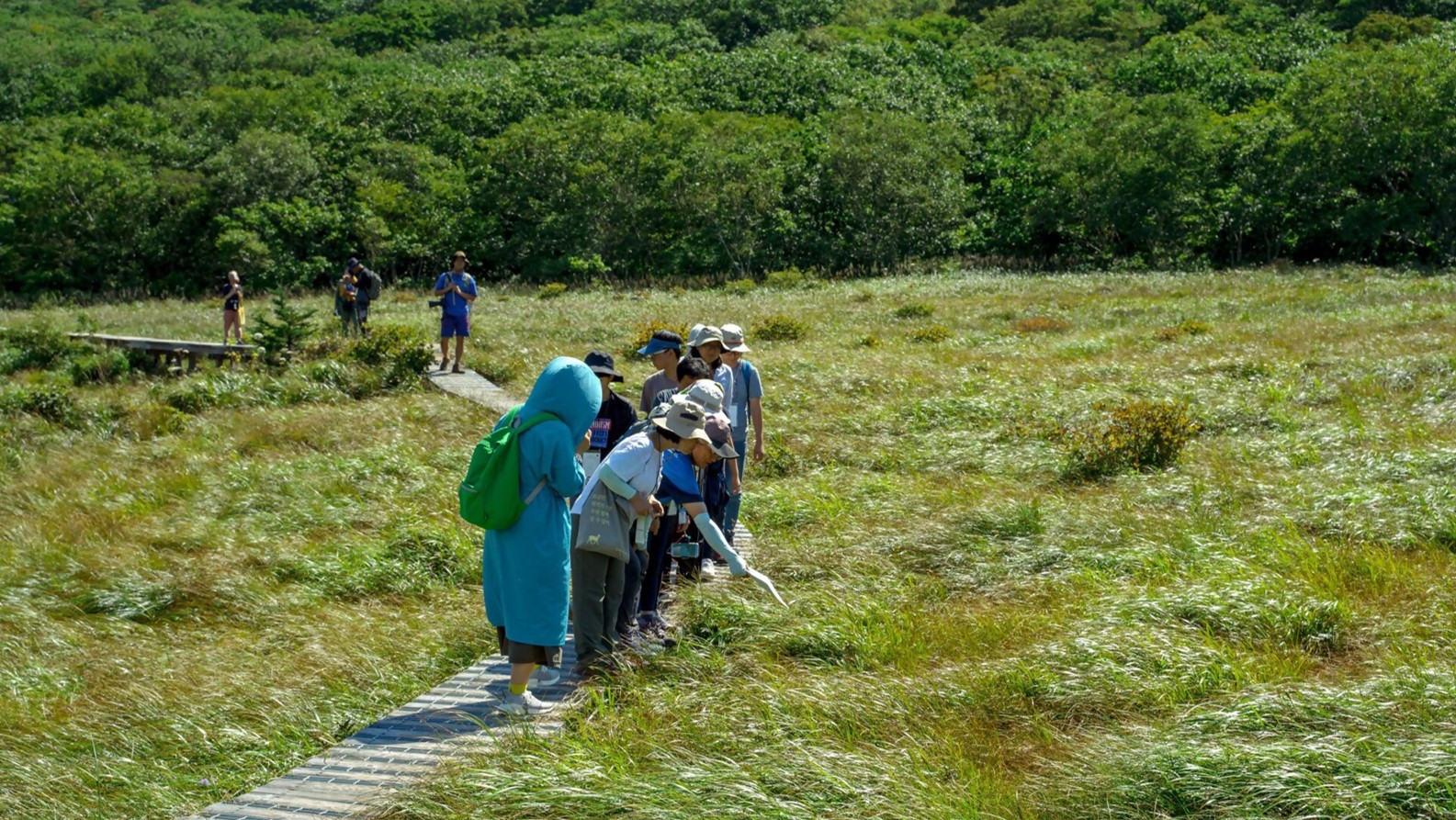 다가치추억